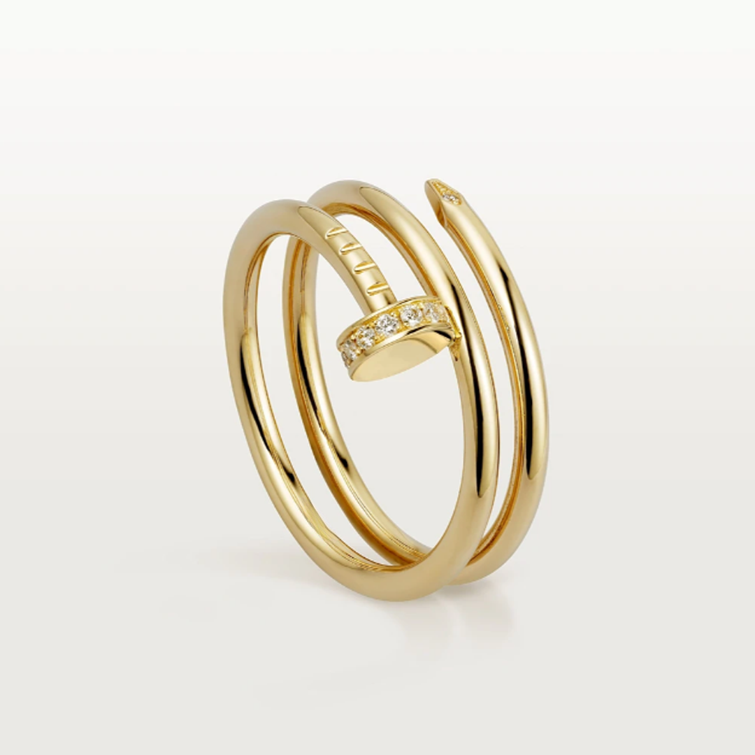 SPIJKER Dubbele Ring
